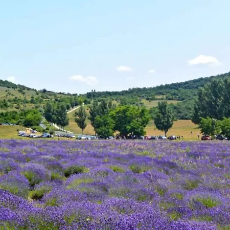 In - Balaton 53718 Apartment *